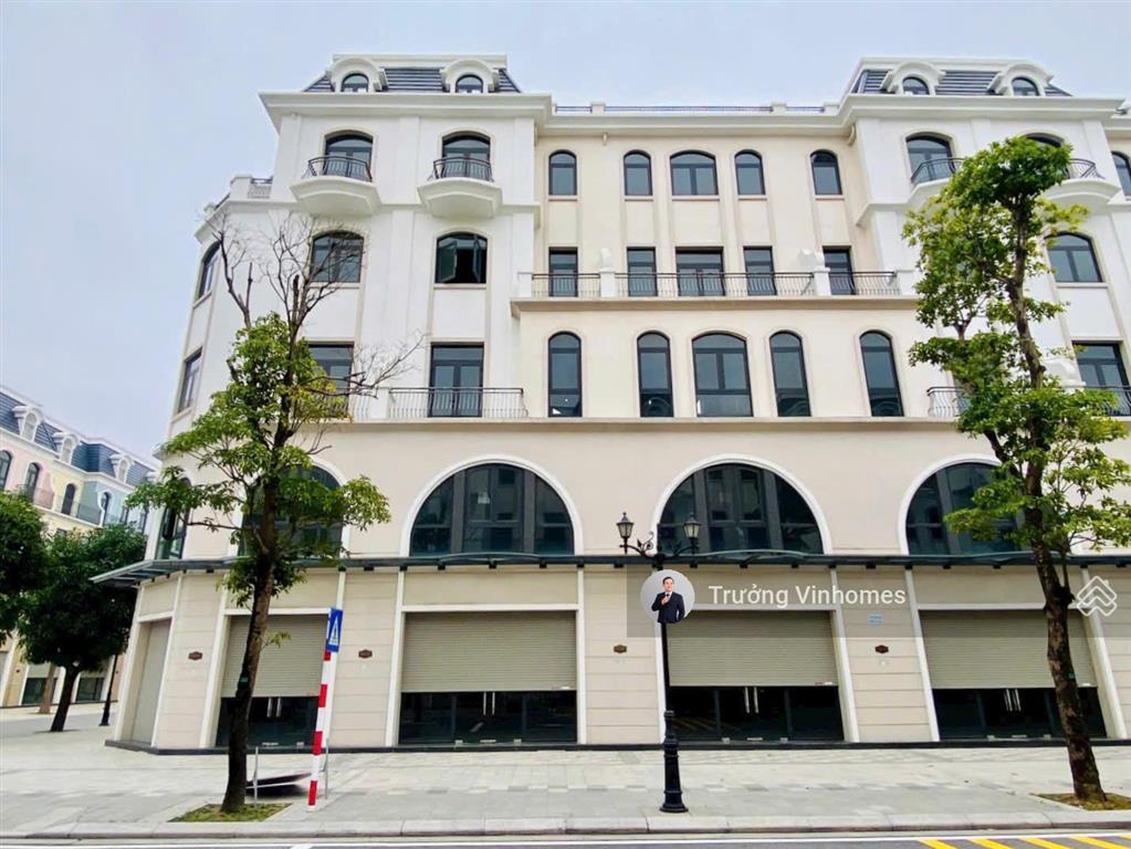 Giá sốc shophouse mặt đường lớn lối vào chính 9 tòa chung cư