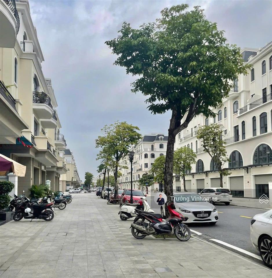 Giá sốc shophouse mặt đường lớn lối vào chính 9 tòa chung cư