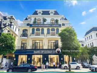 Siêu phẩm biệt thự song lập kinh đô mặt phố đi bộ, phong cách hoàng gia châu âu, chỉ 26 tỷ