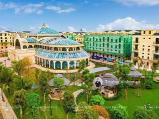 Bán nhanh căn góc đảo dừa  vinhomes ocean park 2 giá chỉ 12,8 tỷ