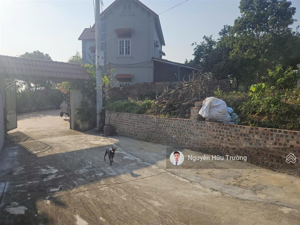Giá sập sàn 950 triệu lô full thổ cư 2 mặt đường đình thông, hồng kỳ hàng đã tuyệt chủng