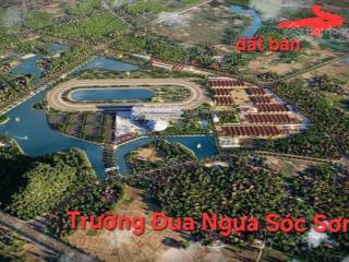 Cần tiền trả bank cắt lỗ 30%. lô đất siêu đẹp đường nhựa vỉa hè giá chỉ 2x triệu ạ