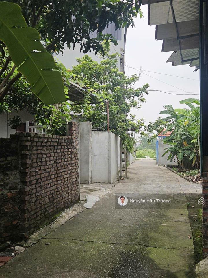 2x triệu/m2 đất sóc sơn đắt hay rẻ? kinh nghiệm 6 năm làm bđs chưa thấy lô nào tốt hơn lô này!