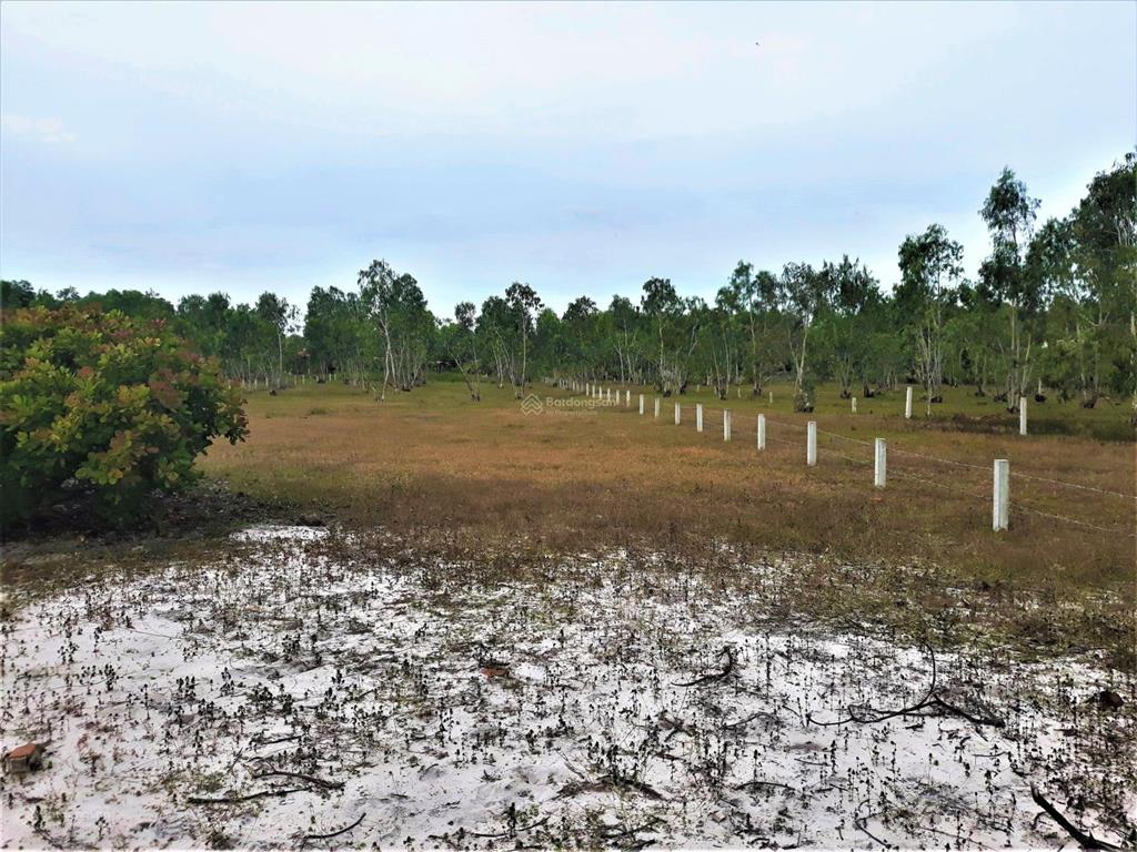 Bán 2409m2 đất gần biển  ngang 20m  dài 120m  đường nhánh lê minh công