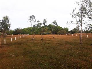 Bán 2409m2 đất gần biển  ngang 20m  dài 120m  đường nhánh lê minh công