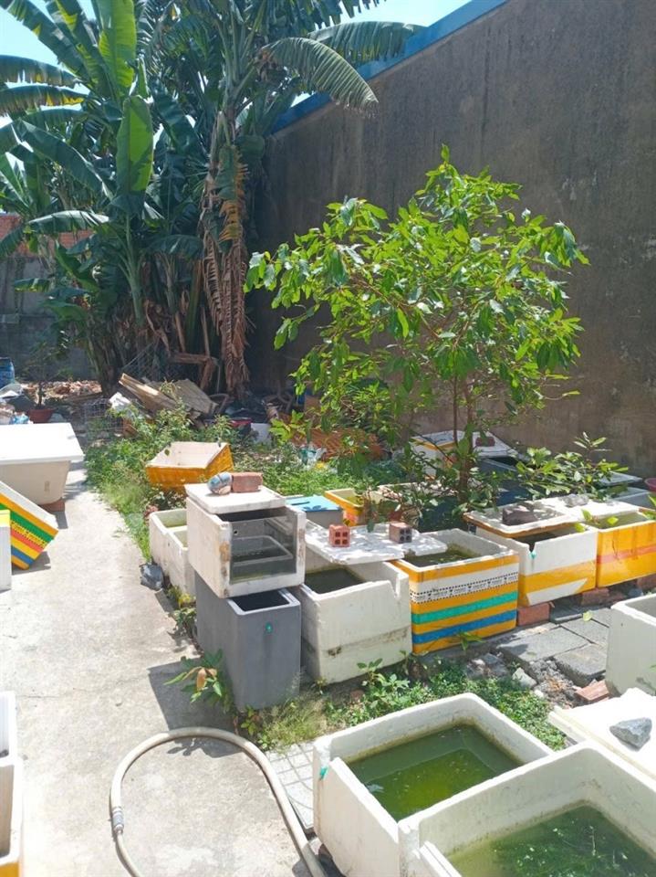 Bán nhà 2 Tầng 155m² Dĩ An,SHR đường 2 ô tô thông,gần Vincom Dĩ An