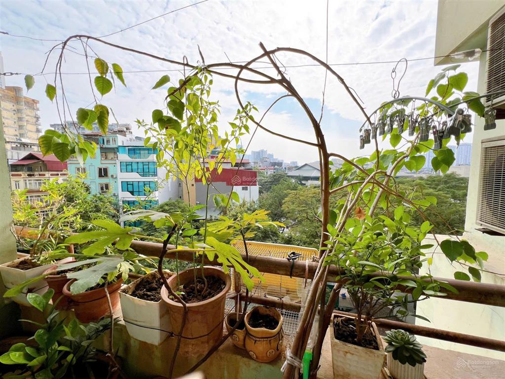 Cần bán căn hộ chung cư chính chủ 78m2 tòa n03 trần quý kiên, giá 6,05 tỷ   0888 346 ***