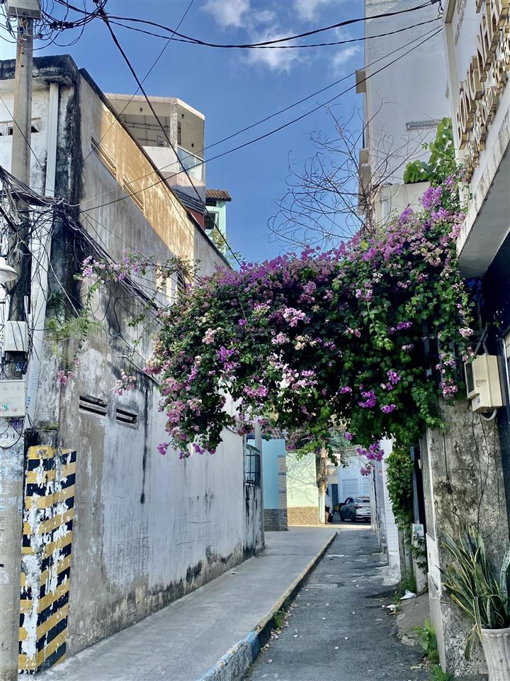 Hẻm đà lạt chill ngay nguyễn xí  80m2nhỉnh 8tỷ 2 tầng 5pn sát mt oto tới gần nhà dân trí cao