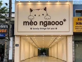 Cho thuê nhà mặt tiền ngang 8m đối diện đại học cần thơ giá 45 triệu