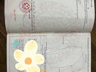 Xuất cảnh bán vườn thanh long tại hàm tân, bình thuận (lâm đồng)