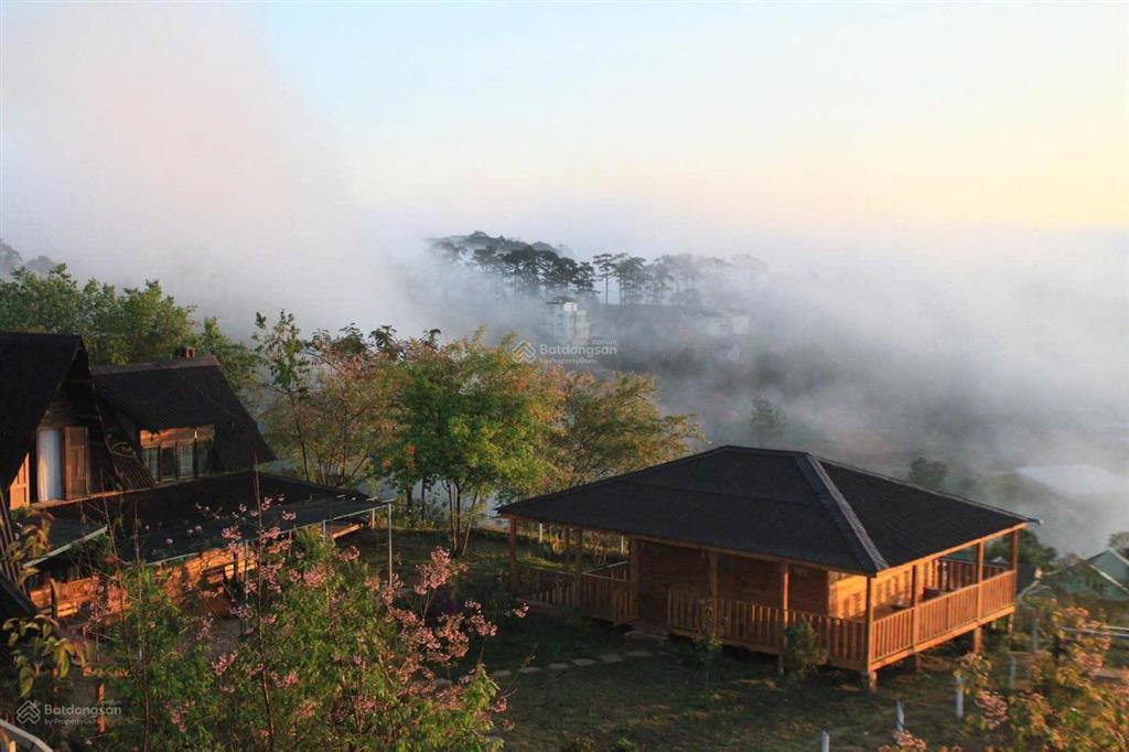 Chủ ngộp bán lỗ 383m2 gần chuyện của nắng, xuân thọ, nơi đón bình minh đẹp đà lạt. giá chỉ 4.2 tỷ