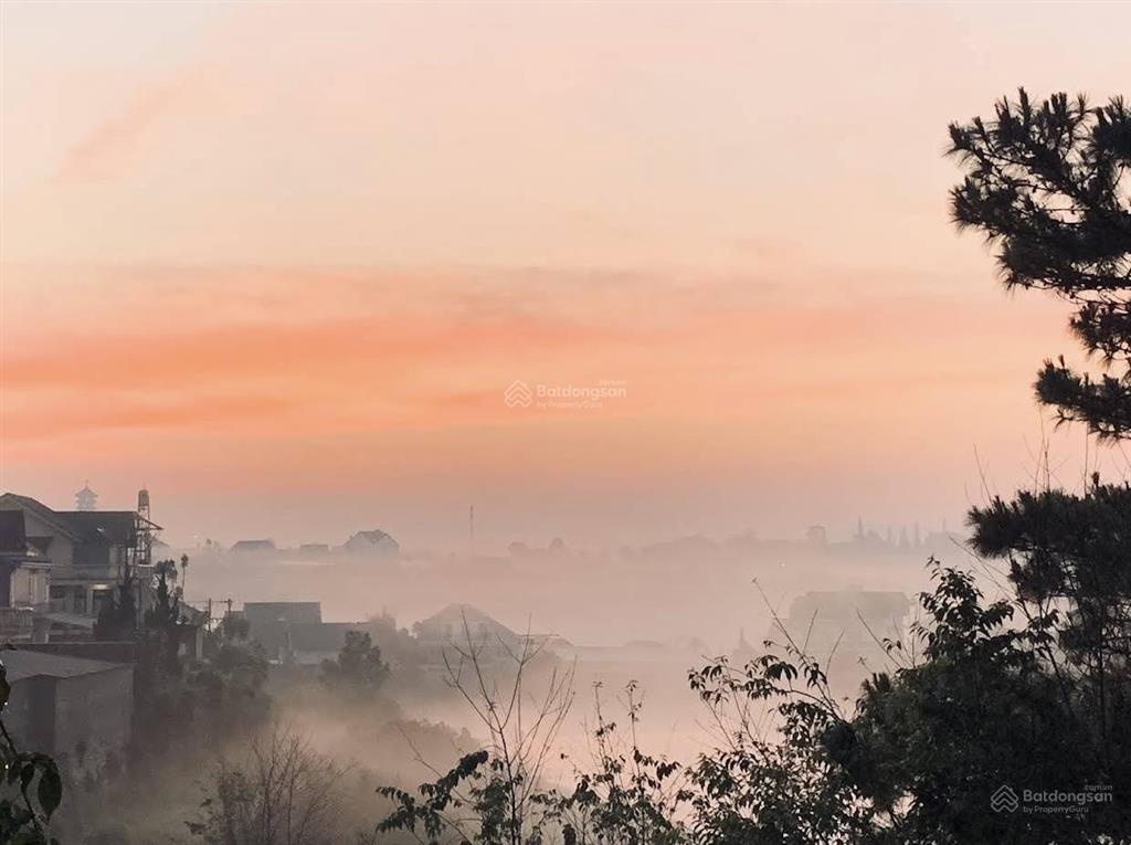 Bán villa sân vườn view hồ và rừng thông trường đại học, dt thực tế 600m2, ngang rộng, đường nhu