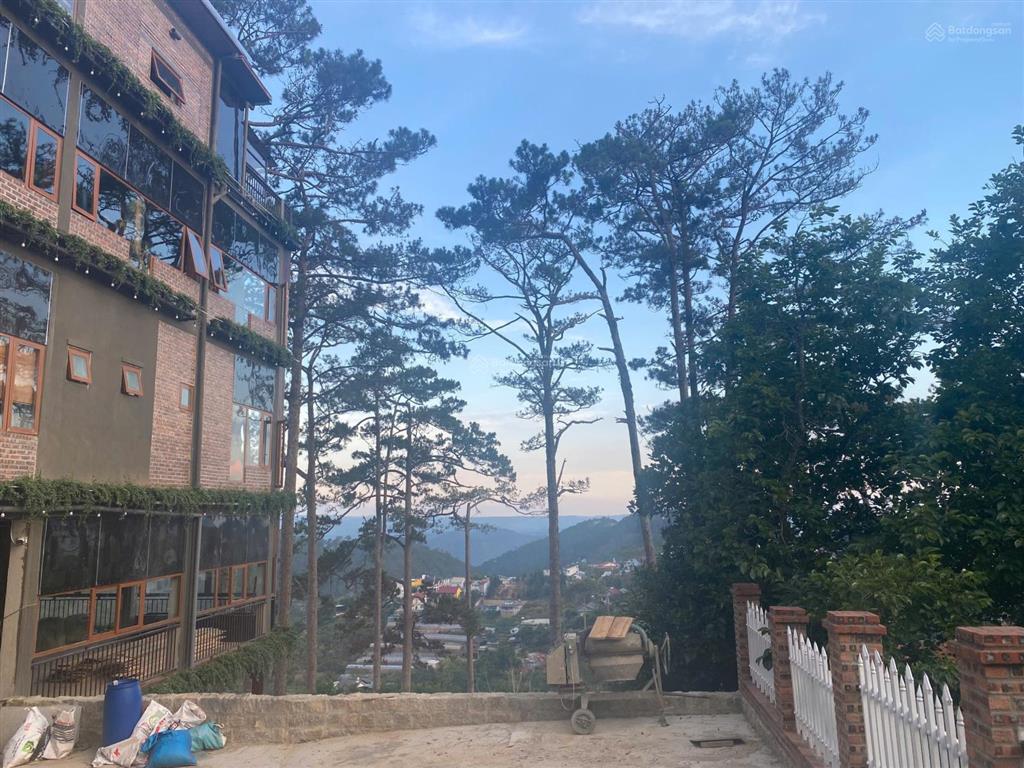 Hạ giá bán nhanh 320m² kqh đồi ngô quyền, 12x27m, hướng đông tây, view hoàng hôn, giá 12,5 tỷ
