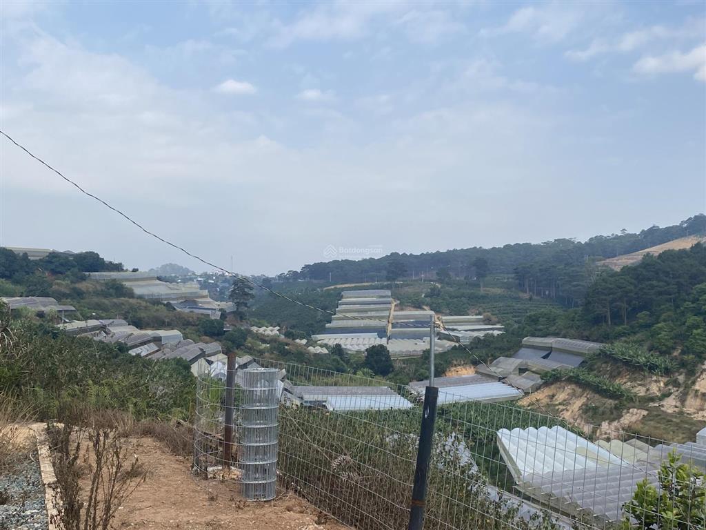 1075m2 đất nông nghiệp xuân thọ, đà lạt, view thông, sổ riêng, đường ô tô, cách trung tâm đl 13km