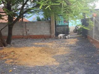 Cần bán đất tại tân hiệp 4 hóc môn rộng 10m dài 23m