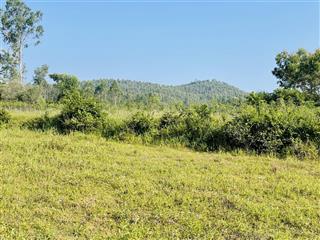 Giá rẻ nhất thị trường  giảm giá mạnh 13,000m2/ 1tỷ68. giáp suối view đồi núi , gần biển bình định