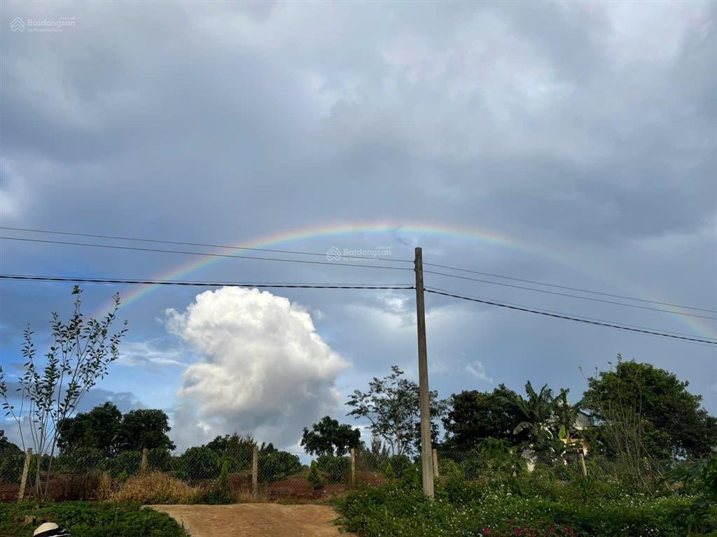 1685m2 đất view đồi, nhìn sông đồng nai, giá chưa tới 1 tỷ sẵn vườn sầu riêng càfê, săn mây, lâm hà