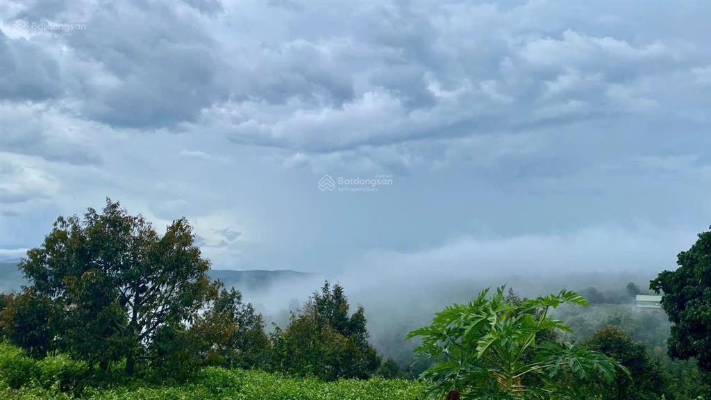 1685m2 đất view đồi, nhìn sông đồng nai, giá chưa tới 1 tỷ sẵn vườn sầu riêng càfê, săn mây, lâm hà