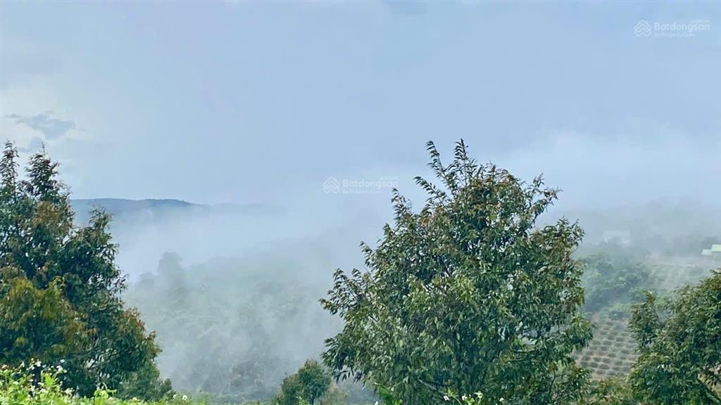 1685m2 đất view đồi, nhìn sông đồng nai, giá chưa tới 1 tỷ sẵn vườn sầu riêng càfê, săn mây, lâm hà