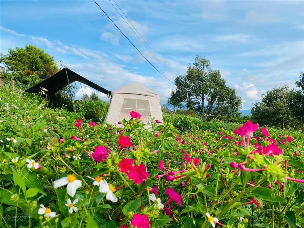 1685m2 đất view đồi, nhìn sông đồng nai, giá chưa tới 1 tỷ sẵn vườn sầu riêng càfê, săn mây, lâm hà