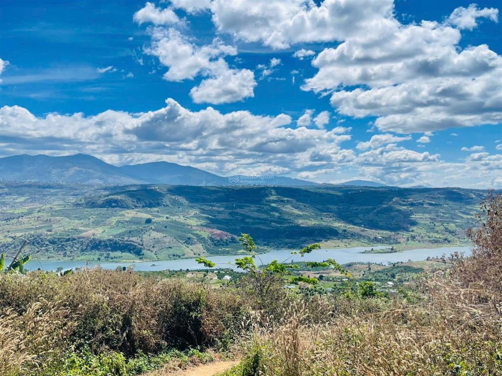 1685m2 đất view đồi, nhìn sông đồng nai, giá chưa tới 1 tỷ sẵn vườn sầu riêng càfê, săn mây, lâm hà