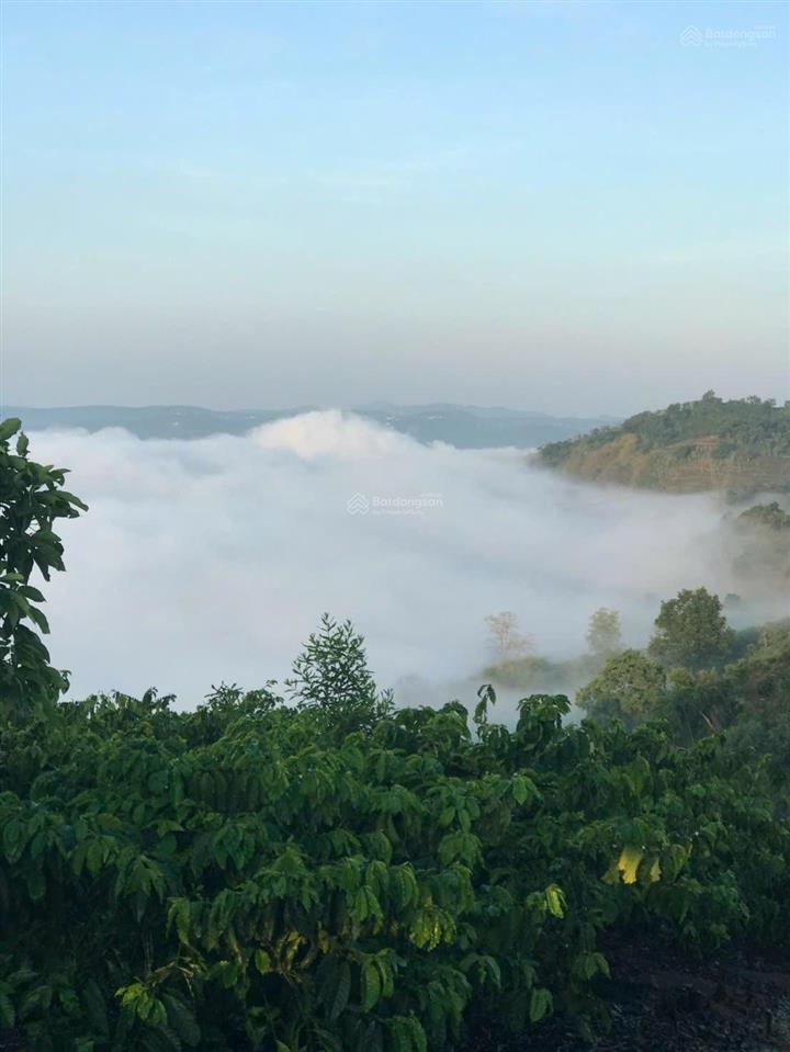1686m2 đất săn mây, view đồi sông, giá 813 triệu/1000m2,sẵn vườn sầu riêng càfê, tân hà, gần đà lạt