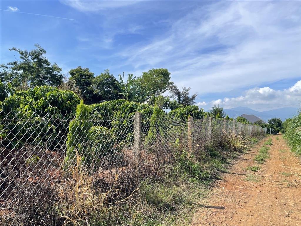 1686m2 đất săn mây, view đồi sông, giá 813 triệu/1000m2,sẵn vườn sầu riêng càfê, tân hà, gần đà lạt