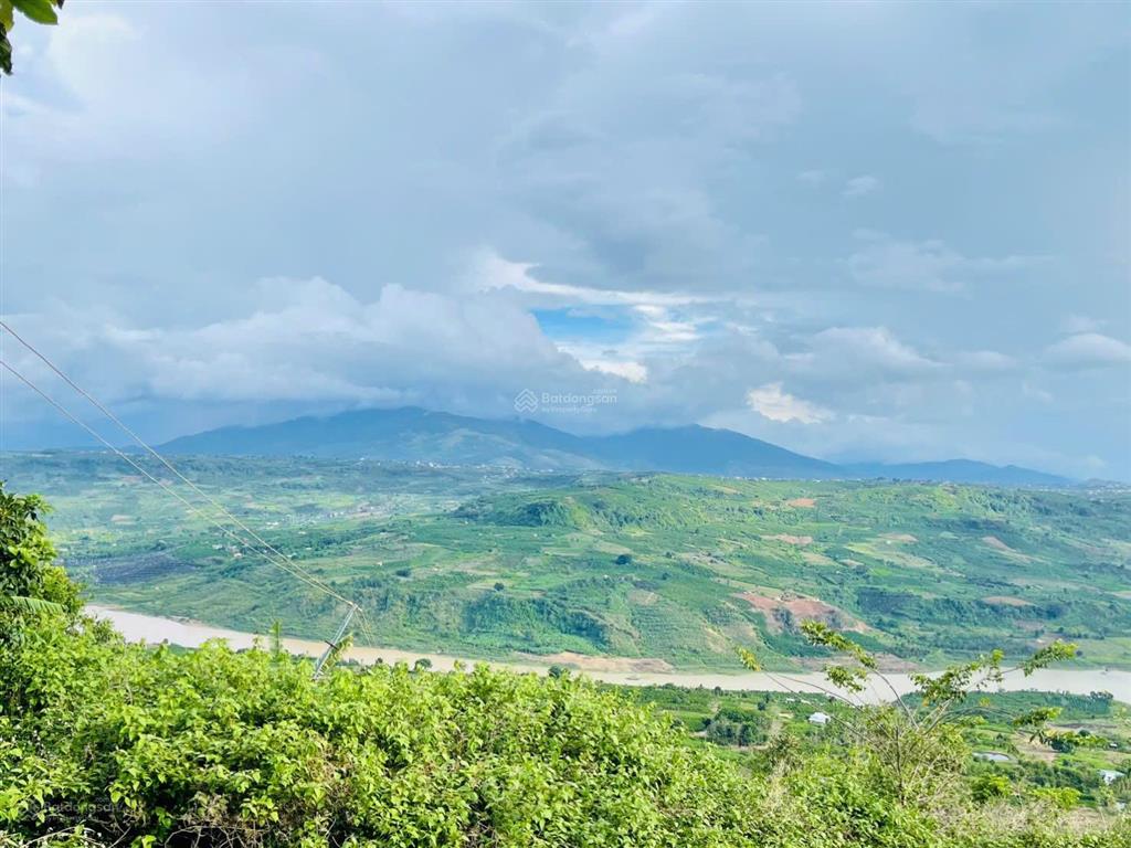 1686m2 đất săn mây, view đồi sông, giá 813 triệu/1000m2,sẵn vườn sầu riêng càfê, tân hà, gần đà lạt