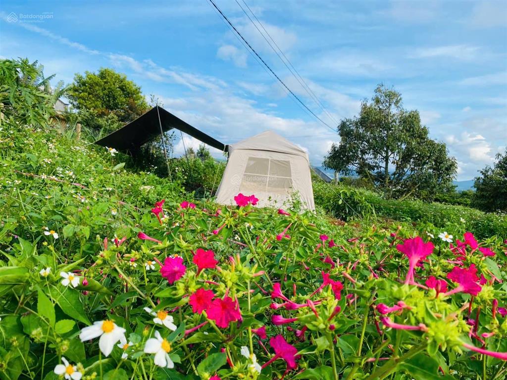 1686m2 đất săn mây, view đồi sông, giá 813 triệu/1000m2,sẵn vườn sầu riêng càfê, tân hà, gần đà lạt