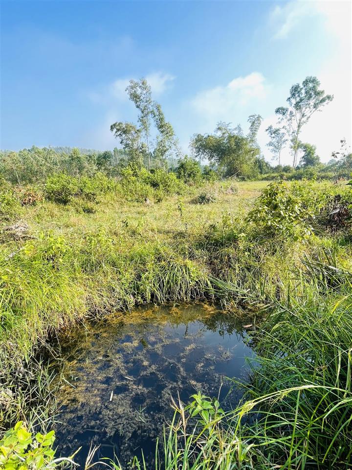 Đất phù mỹ  giáp suối view đồi núi, gần biển bình định, 200m2 thổ cư, giá 3,1 tỷ.  0889 315 ***