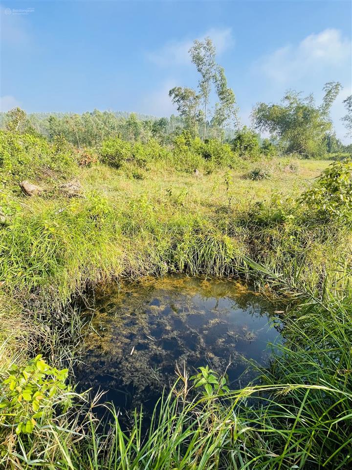 Đất phù mỹ  giáp suối view đồi núi, gần biển bình định, 200m2 thổ cư, giá 3,1 tỷ.  0889 315 ***