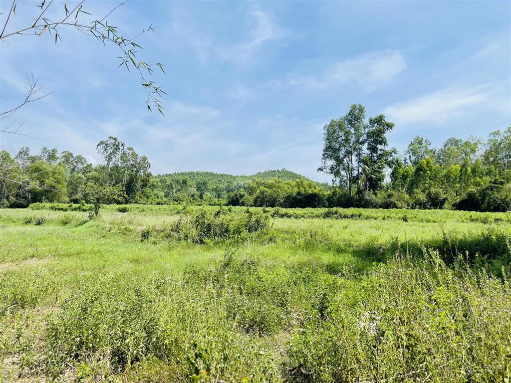 Đất phù mỹ  giáp suối view đồi núi, gần biển bình định, 200m2 thổ cư, giá 3,1 tỷ.  0889 315 ***