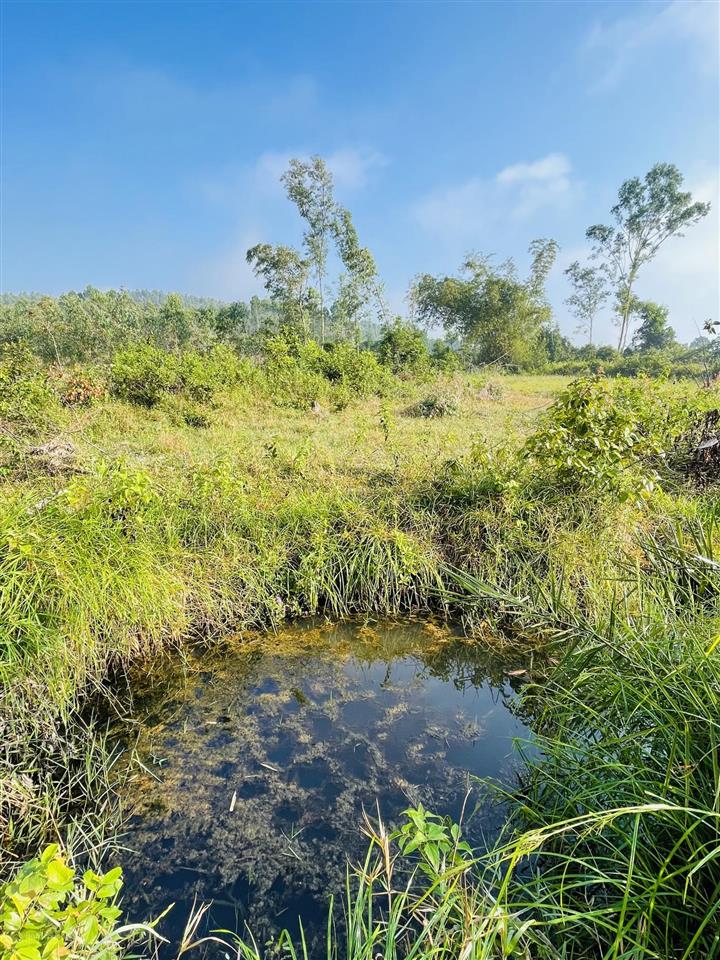 Đất phù mỹ  giáp suối view đồi núi, gần biển bình định, 200m2 thổ cư, giá 3,1 tỷ.  0889 315 ***