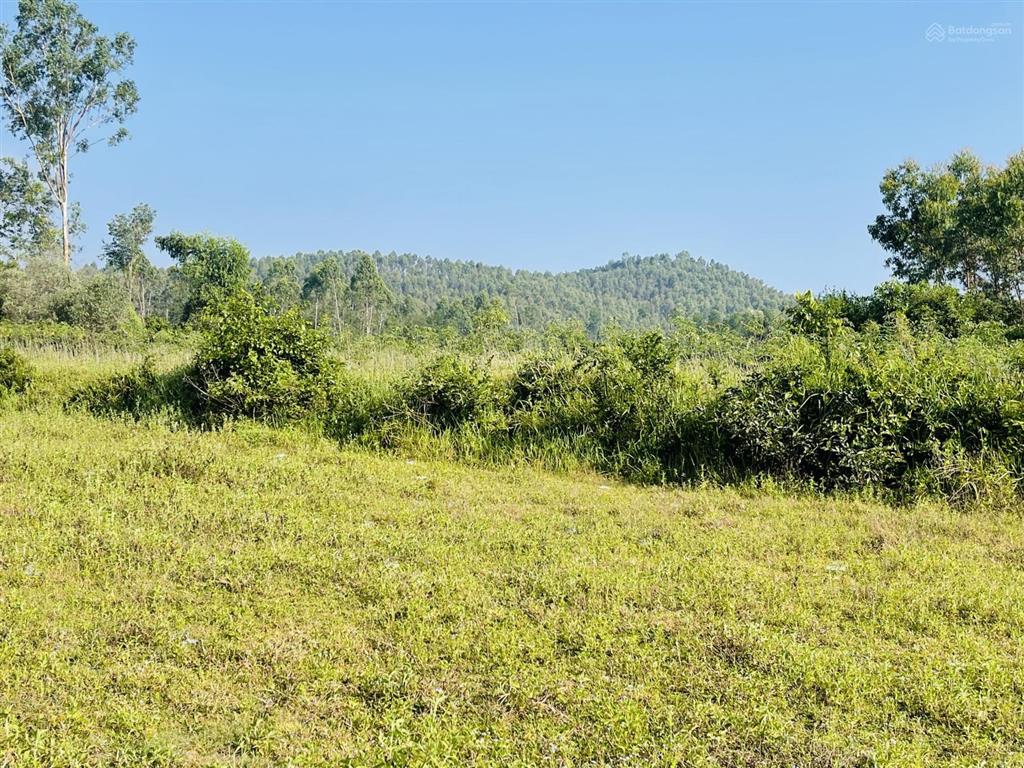 Đất phù mỹ  giáp suối view đồi núi, gần biển bình định, 200m2 thổ cư, giá 3,1 tỷ.  0889 315 ***