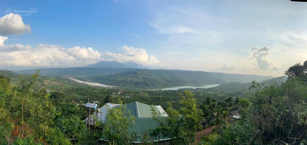 Săn mây  view sông] 1.686m đất tân hà lâm hà  sẵn nhà mới & vườn sầu riêng & cafe  giá 1,313 tỷ