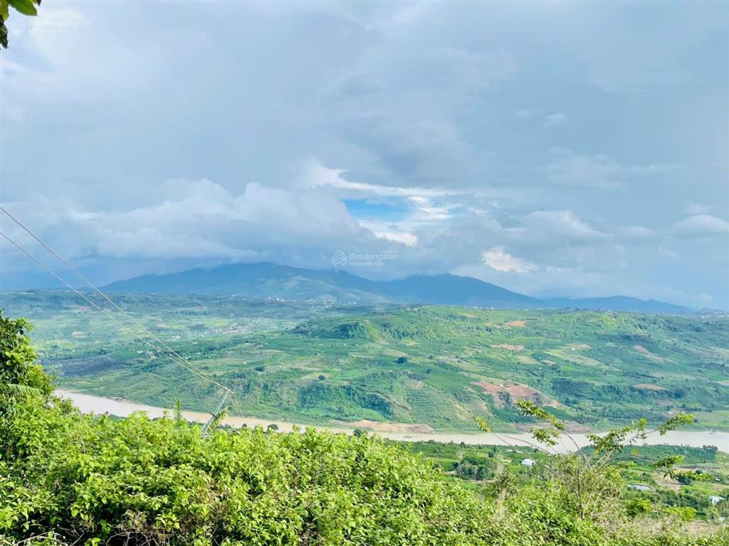 Săn mây  view sông] 1.686m đất tân hà lâm hà  sẵn nhà mới & vườn sầu riêng & cafe  giá 1,313 tỷ