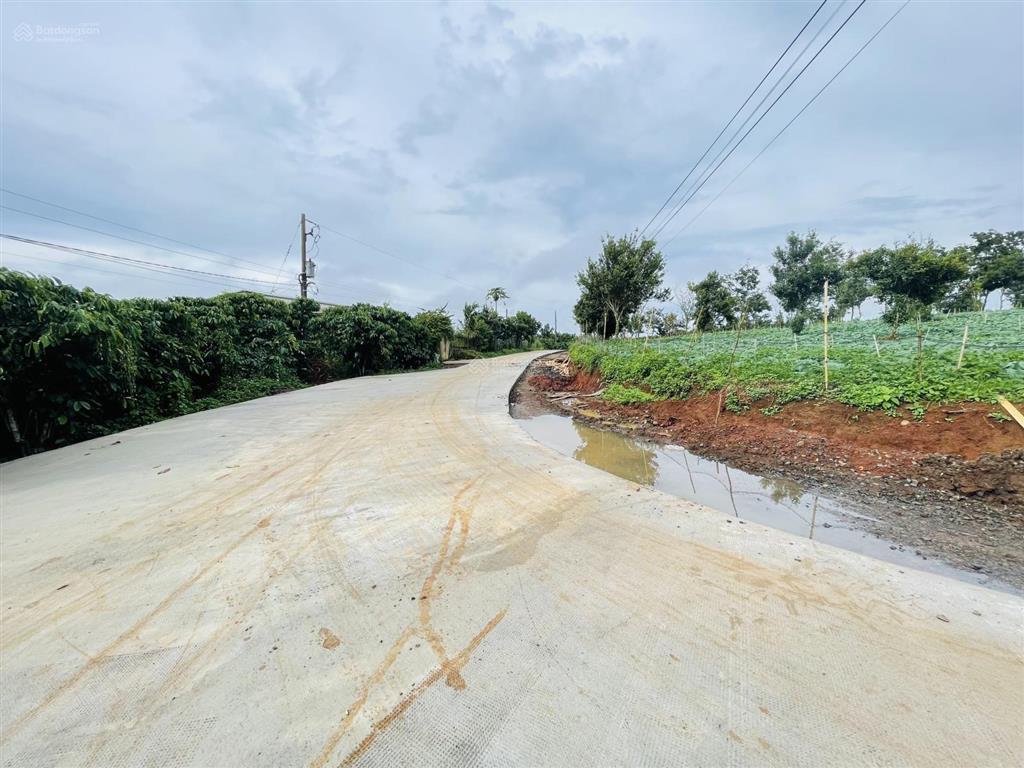 Săn mây  view sông] 1.686m đất tân hà lâm hà  sẵn nhà mới & vườn sầu riêng & cafe  giá 1,313 tỷ