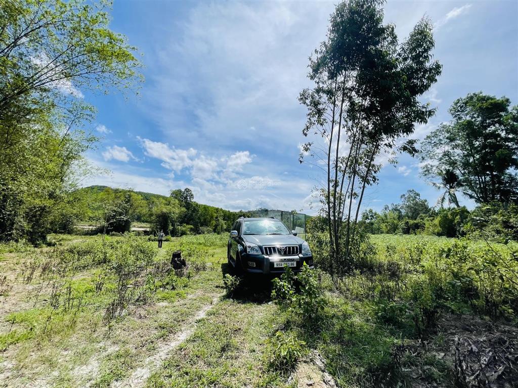 Cc bán rẻ đất phong thuỷ tốt 13,000m2, 200m2 thổ cư, suối, gần núi & biển giá 3,1 tỷ. bình định