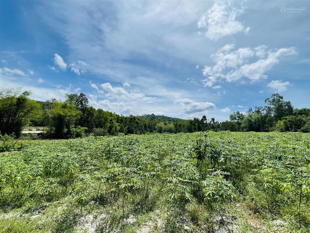 Cc bán rẻ đất phong thuỷ tốt 13,000m2, 200m2 thổ cư, suối, gần núi & biển giá 3,1 tỷ. bình định