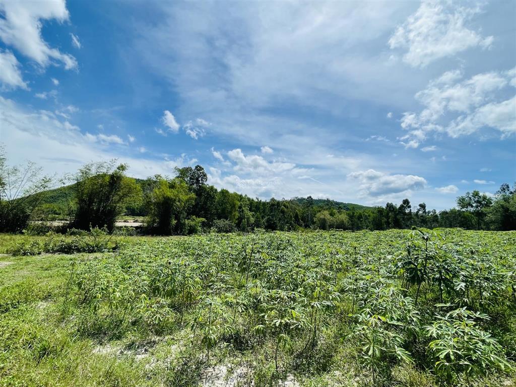 Cc bán rẻ đất phong thuỷ tốt 13,000m2, 200m2 thổ cư, suối, gần núi & biển giá 3,1 tỷ. bình định