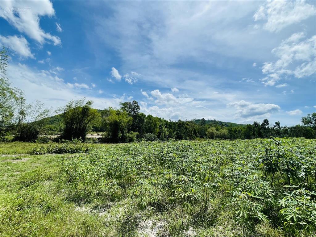 Cc bán rẻ đất phong thuỷ tốt 13,000m2, 200m2 thổ cư, suối, gần núi & biển giá 3,1 tỷ. bình định