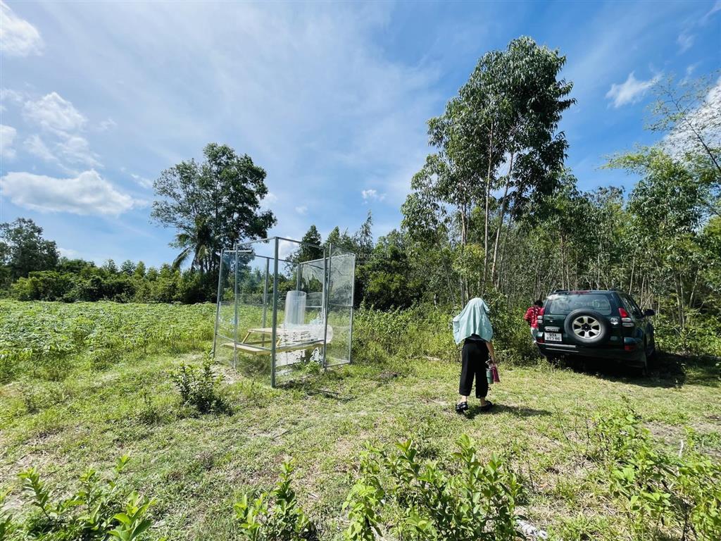 Cc bán rẻ đất phong thuỷ tốt 13,000m2, 200m2 thổ cư, suối, gần núi & biển giá 3,1 tỷ. bình định
