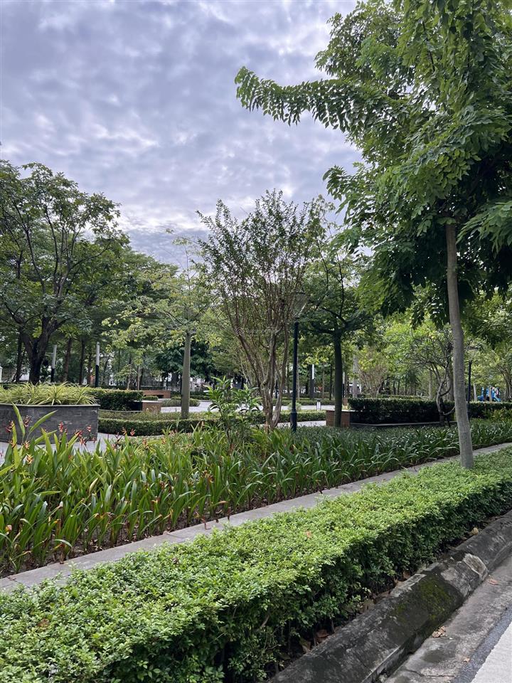 Bán biệt thự khu k ciputra 140m2 view công viên