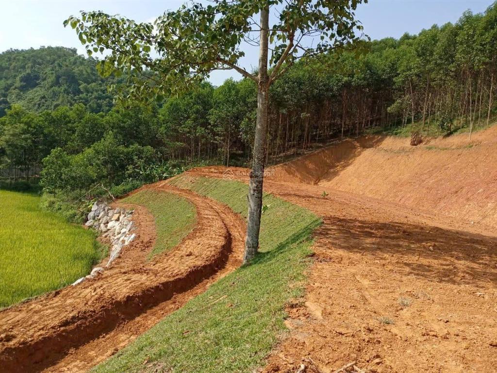 Bán đất tại trường sơn a, view toàn bộ cánh đồng, gần đường liên kết vùng hà nội hoà bình.