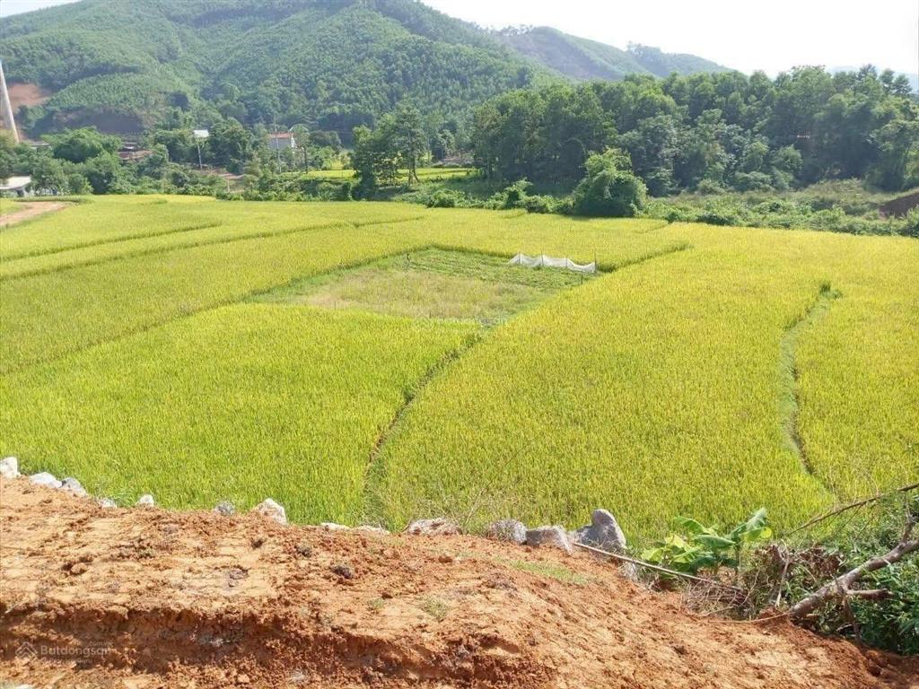 Bán đất tại trường sơn a, view toàn bộ cánh đồng, gần đường liên kết vùng hà nội hoà bình.