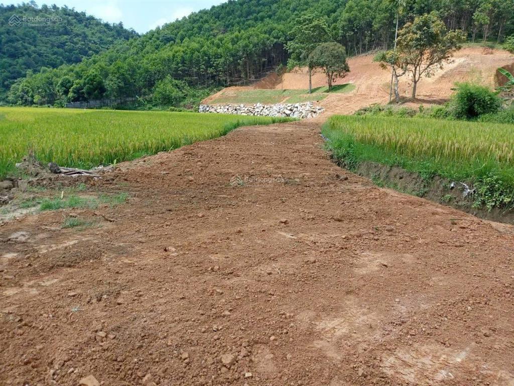 Bán đất tại trường sơn a, view toàn bộ cánh đồng, gần đường liên kết vùng hà nội hoà bình.