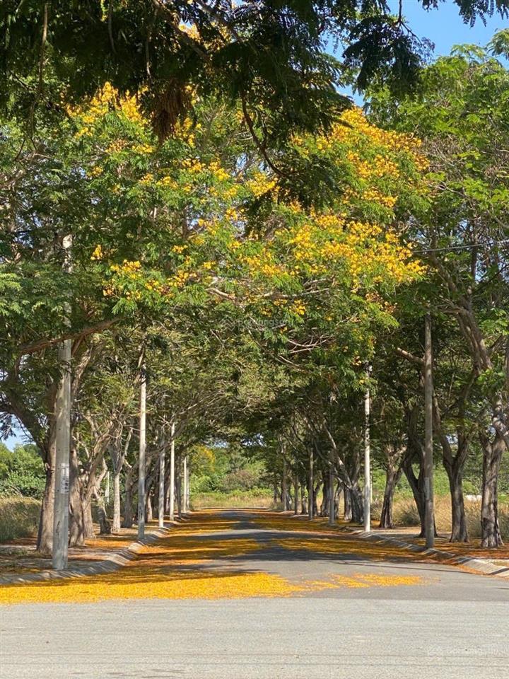 Nền nhà phố view sông giá chỉ 4,8 tỷ tại phước lộc cần giờ  0339 775 ***