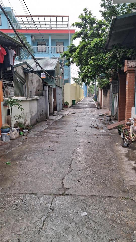Chính chủ bán đất thôn cổ điển b, xã thanh trì. diện tích 106m2, mặt tiền 8m vuông vắn, đường ô tô