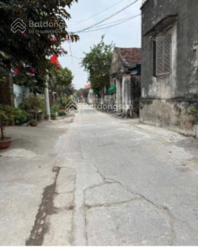 Chính chủ bán đất thôn cổ điển b, xã thanh trì. diện tích 106m2, mặt tiền 8m vuông vắn, đường ô tô
