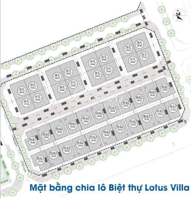 Chính chủ bán biệt thự bt57 lotus villa, dự án eurowindow river park, đông anh, hà nội